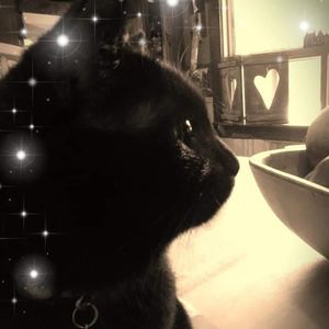 Meet your Posher, Tara